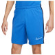 Nike Ανδρικό σορτς Dri-FIT Academy Soccer Shorts
